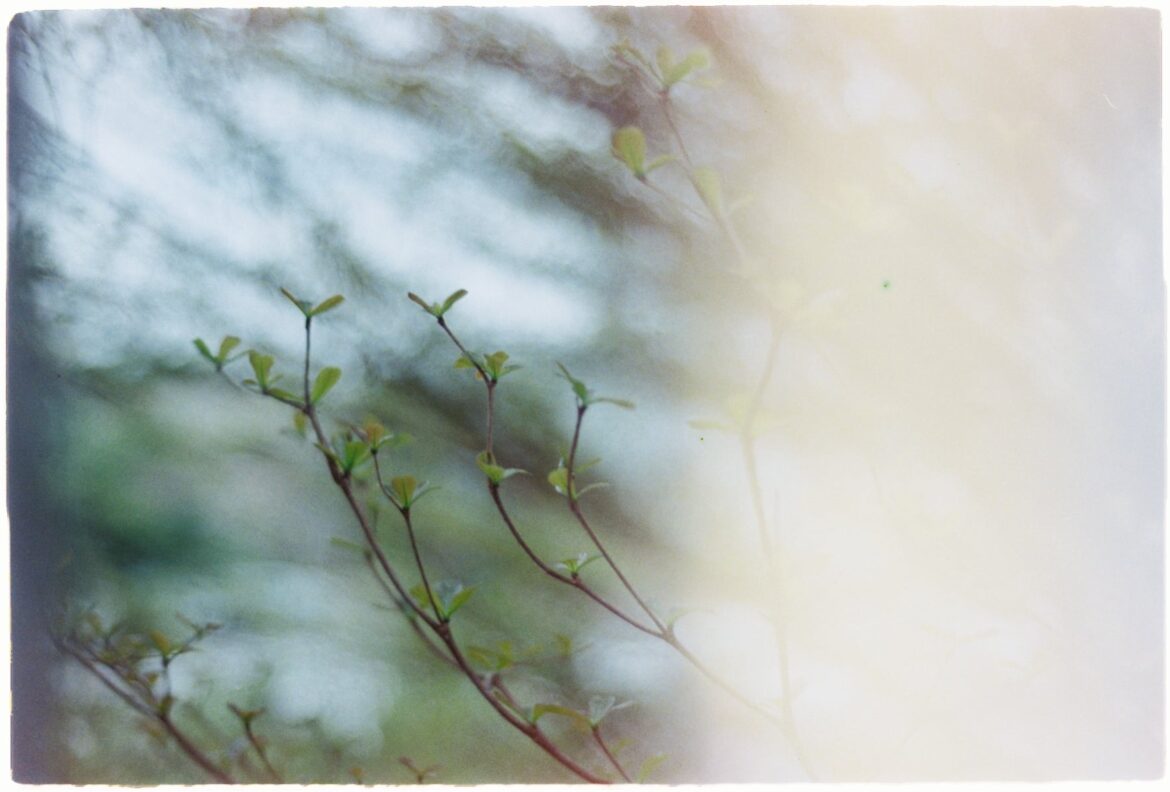 bài hát "Tình duyên đầu năm" - nhạc Xuân yêu thích