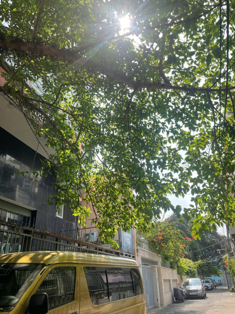 bàn chuyện được - mất